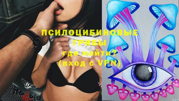 стаф Балахна