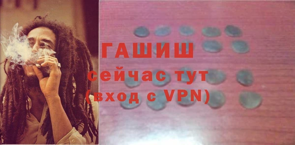стаф Балахна
